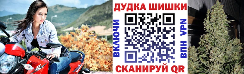 MEGA ONION Лобня Шишки марихуана тримм